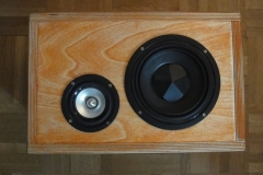Snarrt Monitor